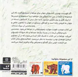 خرس پاندا خرس پاندا چی می بینی